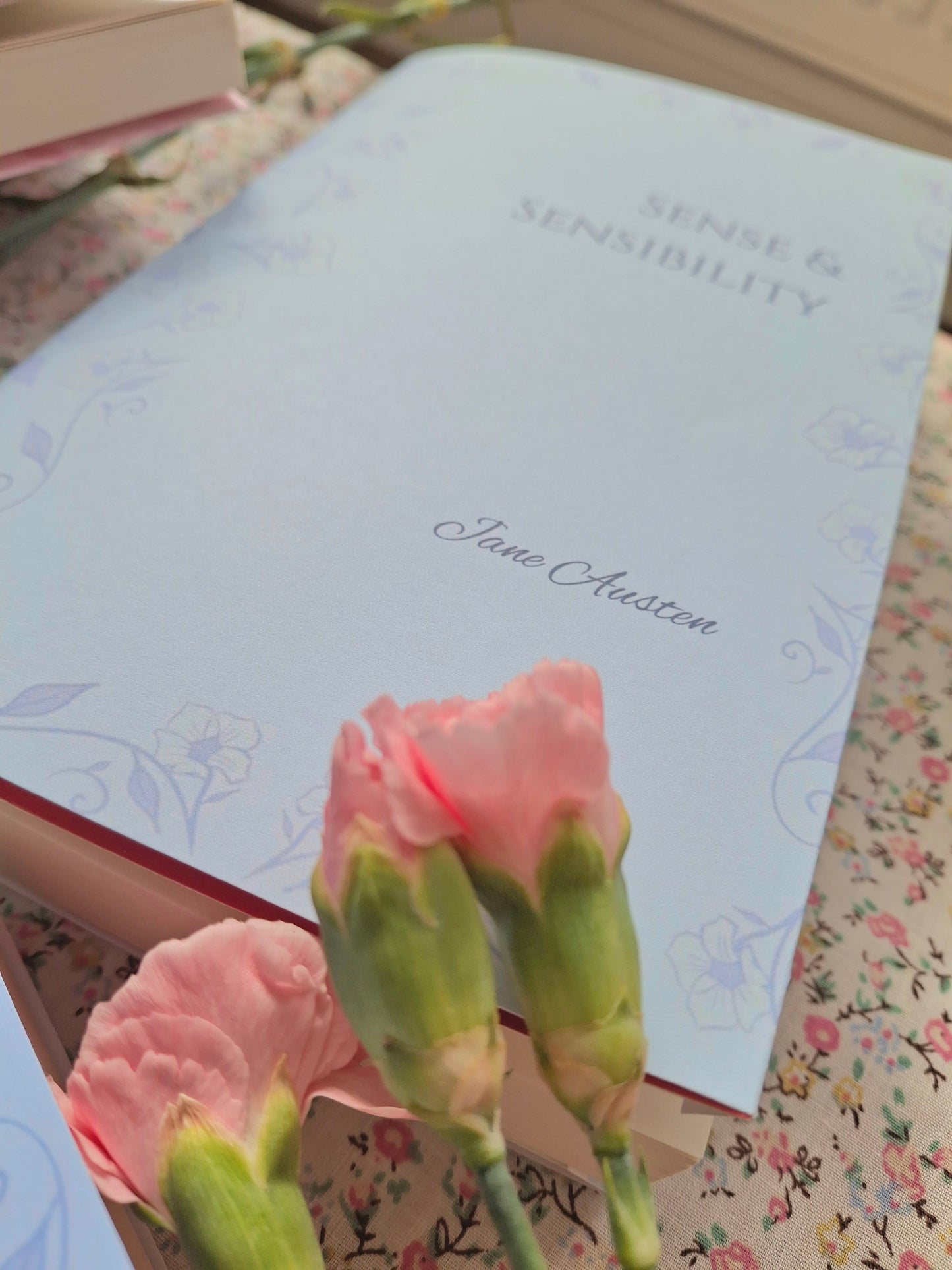 Jane Austen Dust Covers